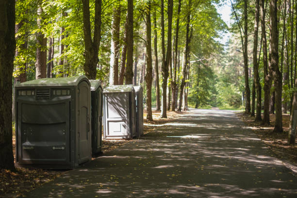 Best Local porta potty services  in Lake Of The Woods, AZ