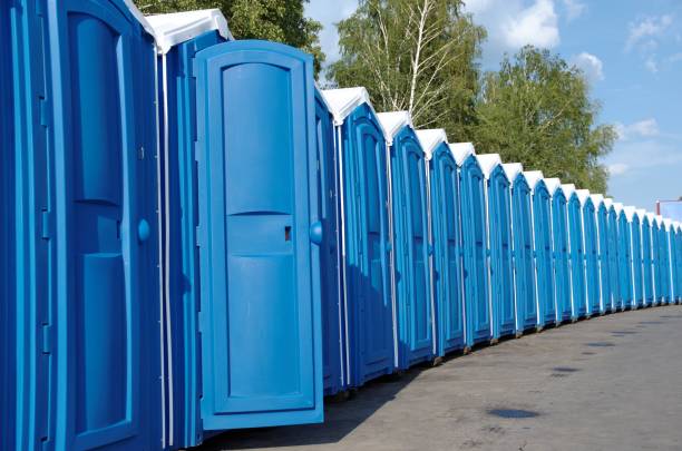 Best Affordable portable toilet rental  in Lake Of The Woods, AZ